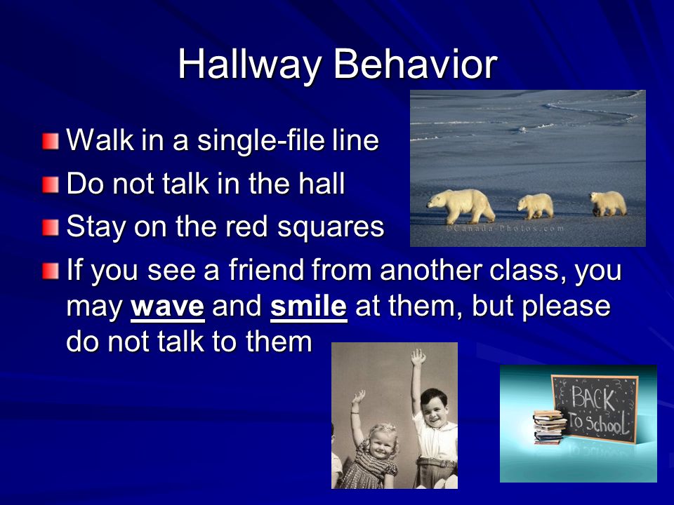 Hallway Behavior Walk in a single-file line Do not talk in the hall
