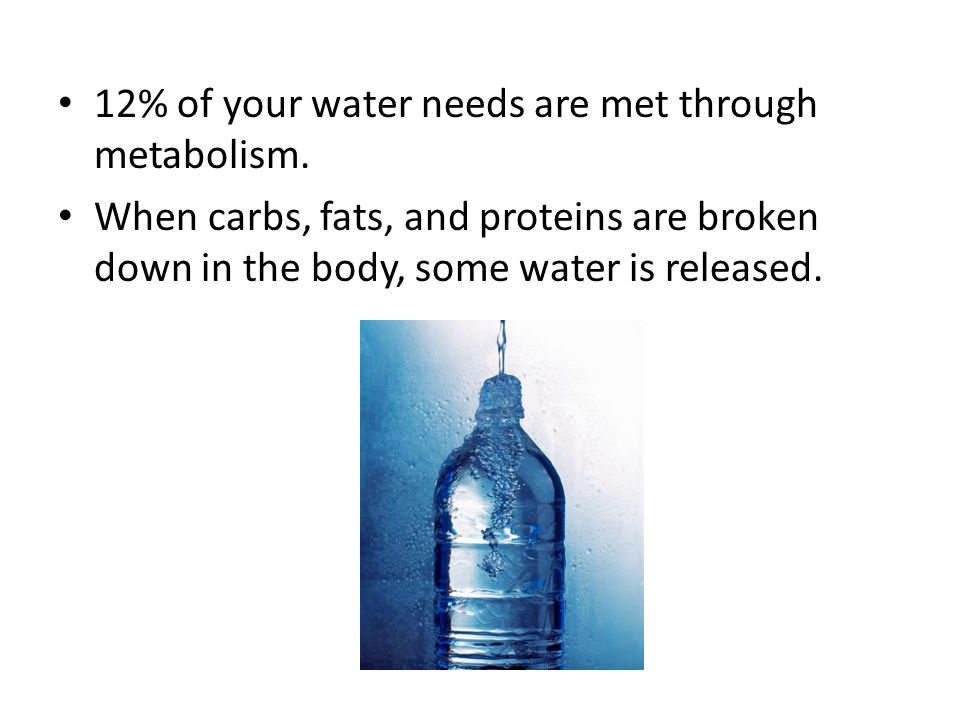 12% of your water needs are met through metabolism.