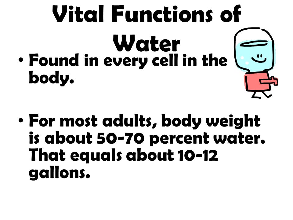 Vital Functions of Water