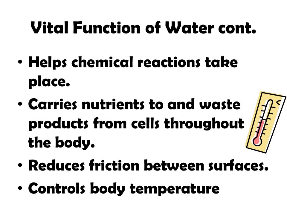 Vital Function of Water cont.