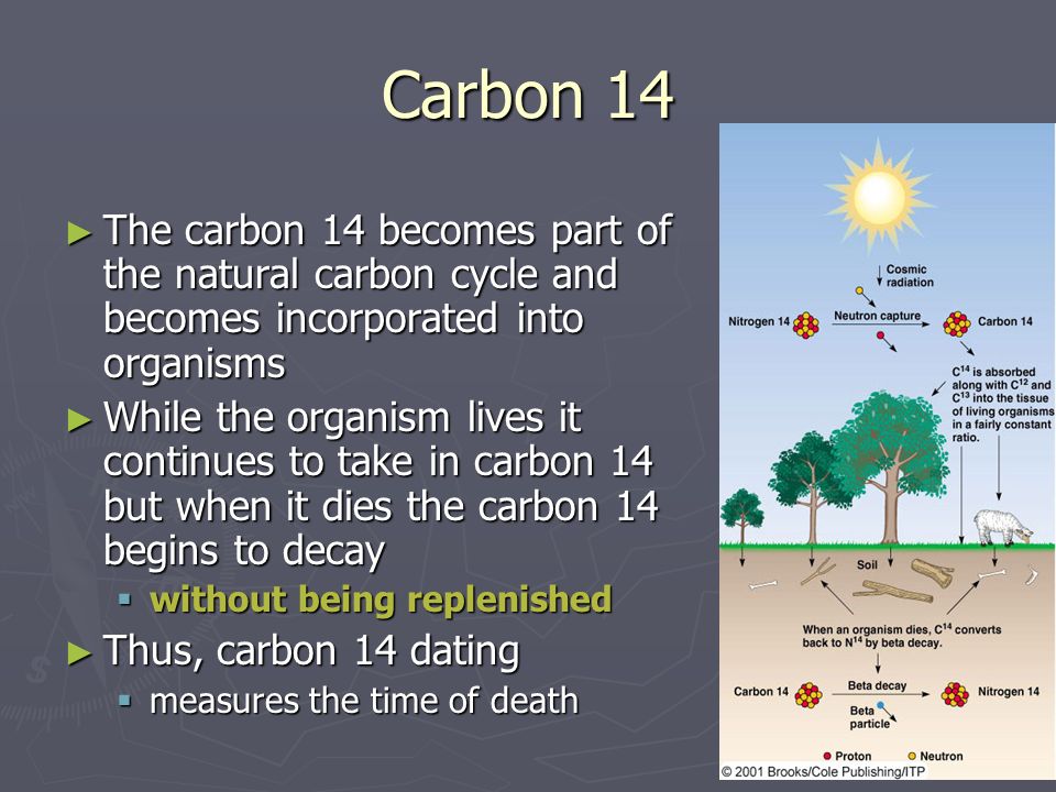 carbon dating measures