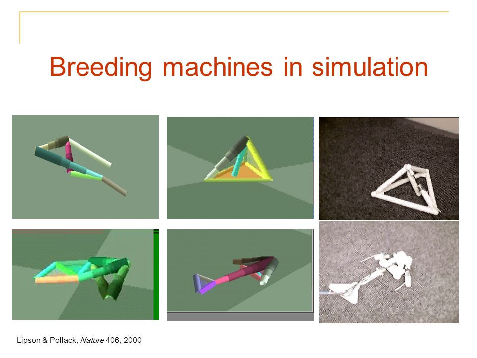 Breeding machines in simulation