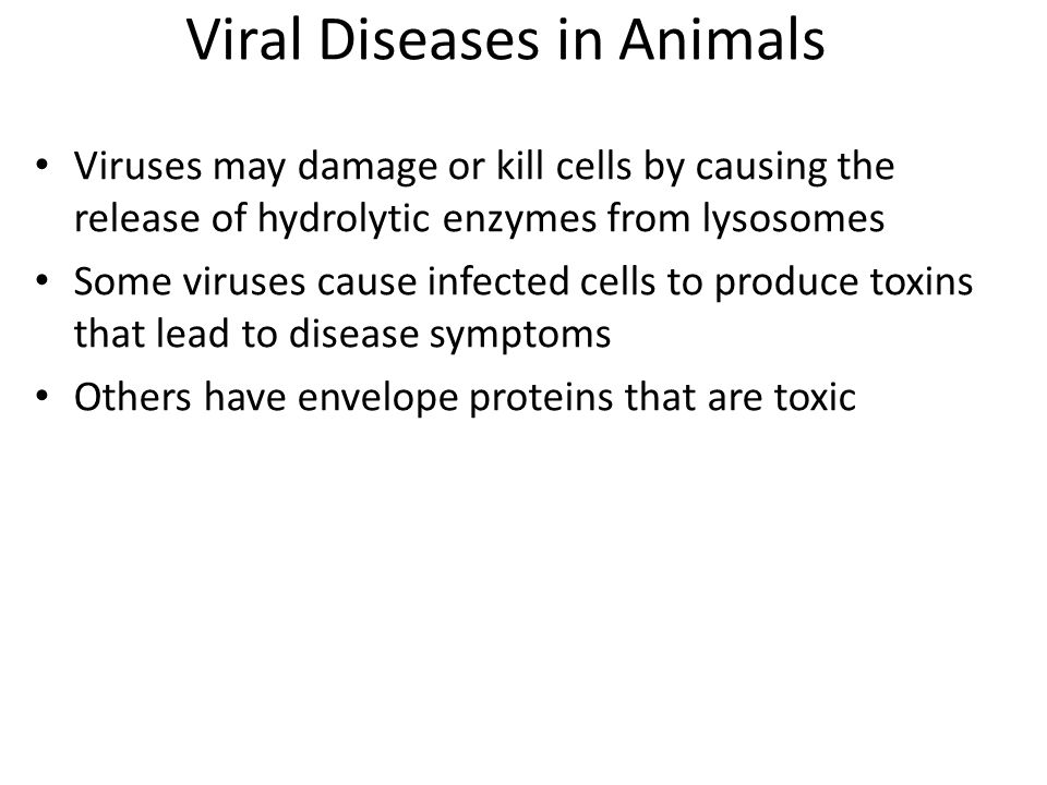Viral Diseases in Animals