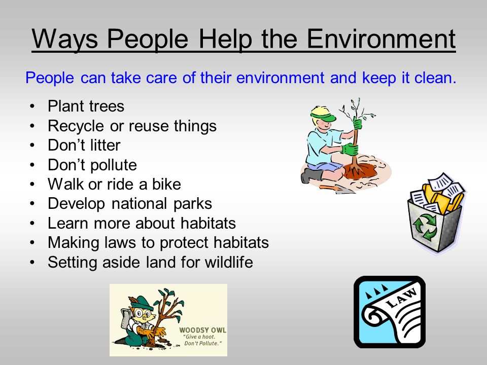 Changes in Habitats by Denise Carroll - ppt download