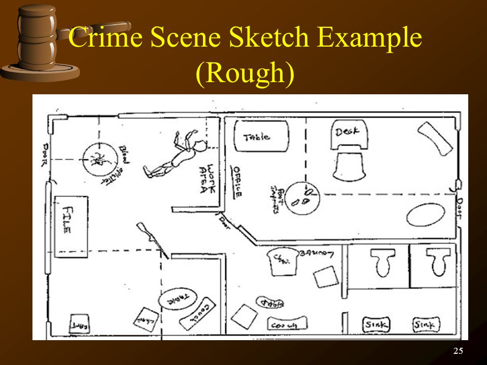 FORENSIC SCIENCE The Crime Scene Team  ppt video online download
