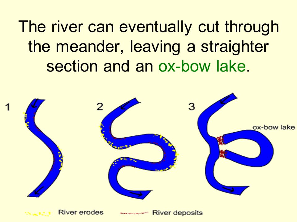 The river can eventually cut through the meander, leaving a straighter section and an ox-bow lake.