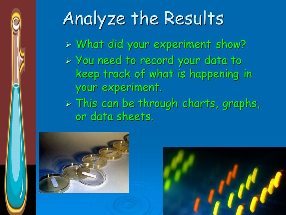 Analyze the Results What did your experiment show