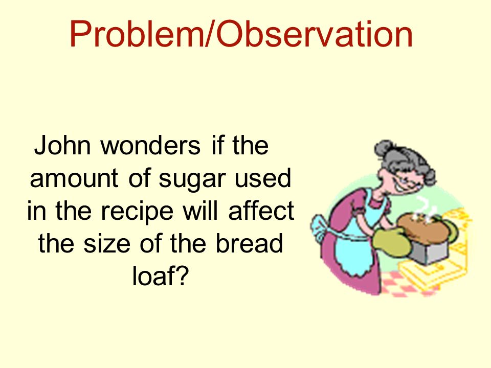 Problem/Observation John wonders if the amount of sugar used in the recipe will affect the size of the bread loaf