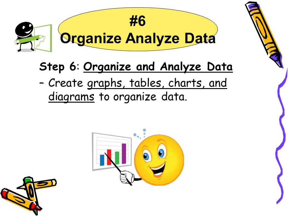 #6 Organize Analyze Data