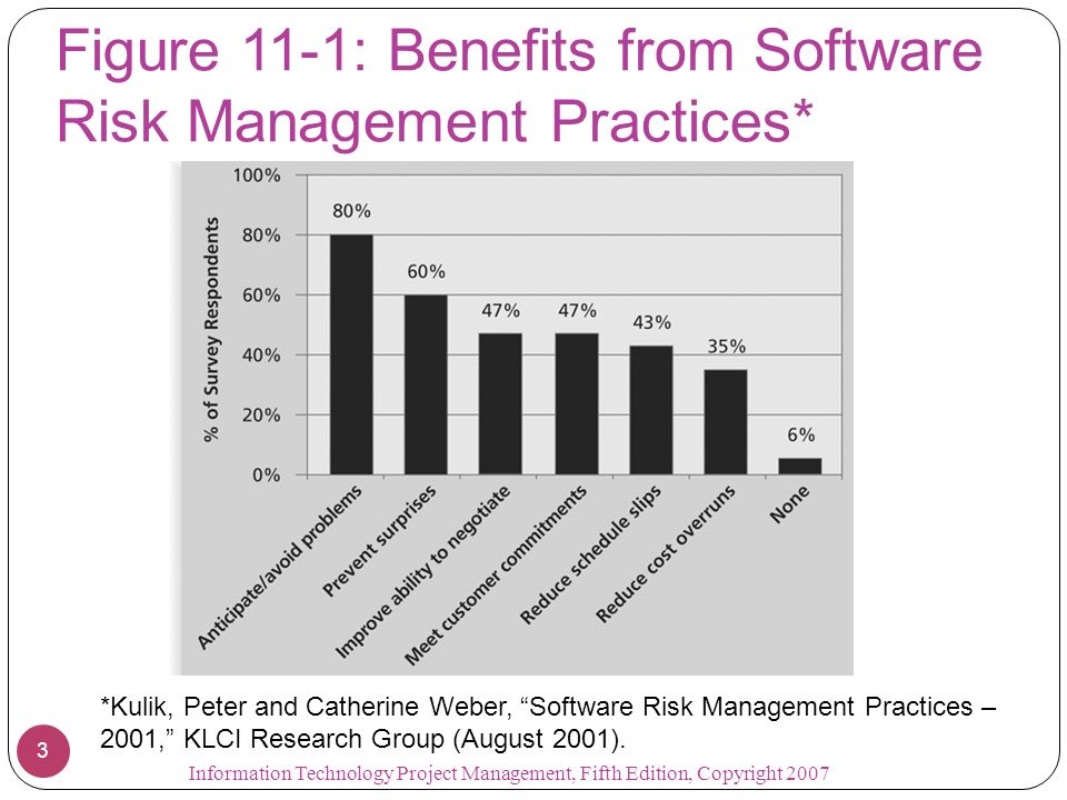 Figure 11-1: Benefits from Software Risk Management Practices*