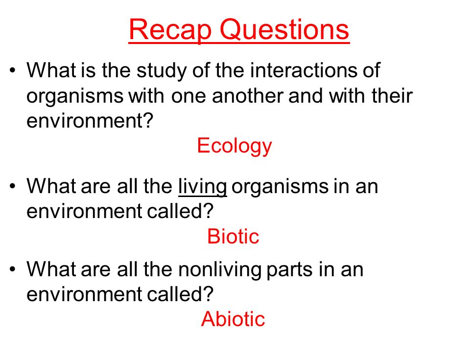 Recap Questions What is the study of the interactions of organisms with one another and with their environment