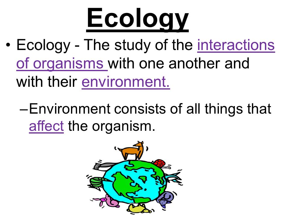 Ecology Ecology - The study of the interactions of organisms with one another and with their environment.