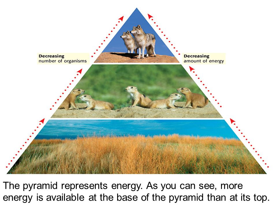 The pyramid represents energy