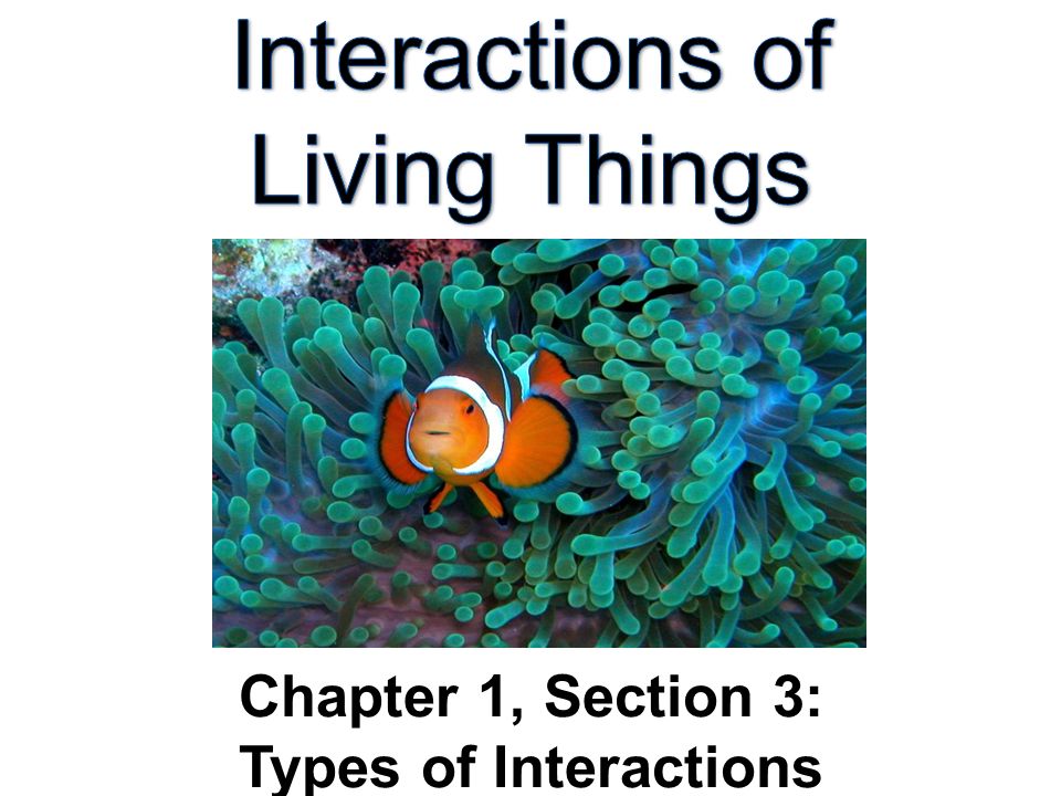 Interactions of Living Things Chapter 1, Section 3: Types of Interactions