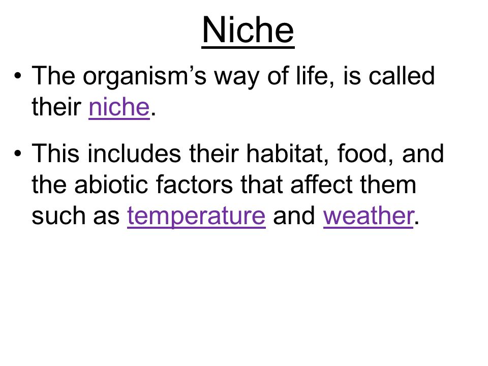 Niche The organism’s way of life, is called their niche.