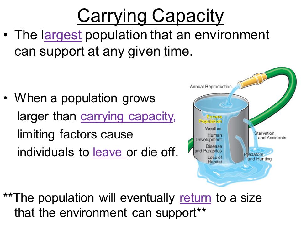 Carrying Capacity The largest population that an environment can support at any given time. When a population grows.