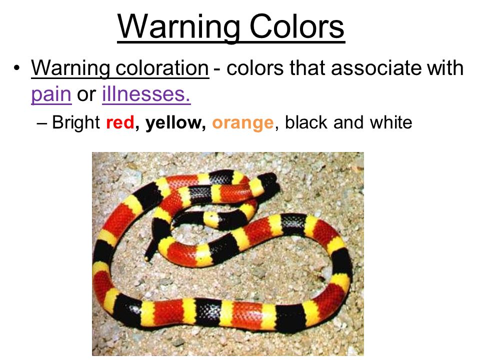 Warning Colors Warning coloration - colors that associate with pain or illnesses.