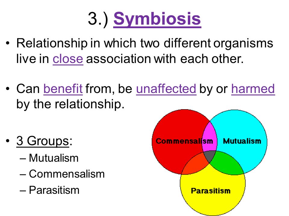 3.) Symbiosis Relationship in which two different organisms live in close association with each other.