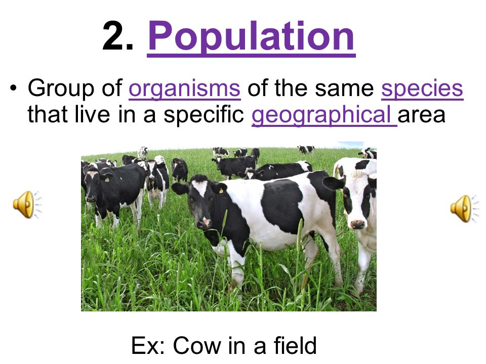 2. Population Group of organisms of the same species that live in a specific geographical area.