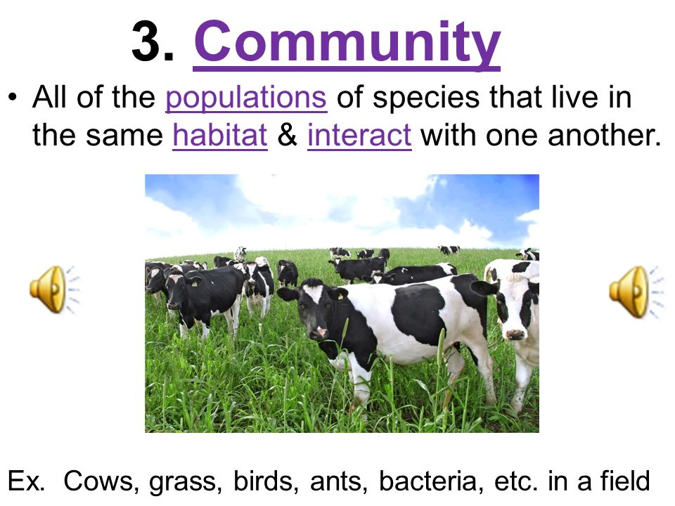 3. Community All of the populations of species that live in the same habitat & interact with one another.