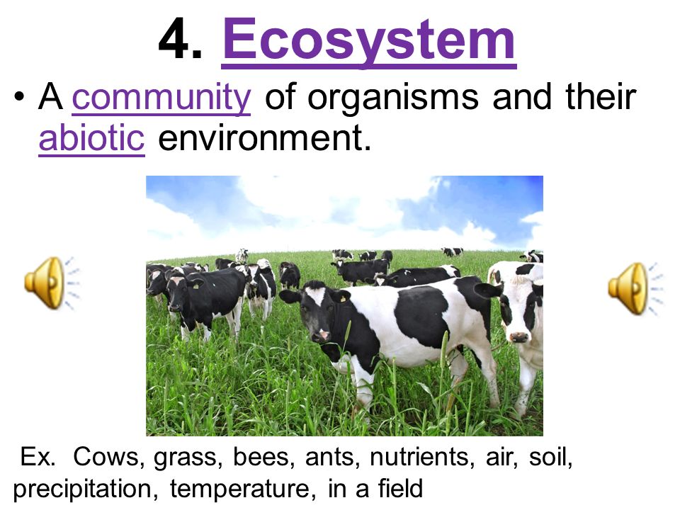 4. Ecosystem A community of organisms and their abiotic environment.