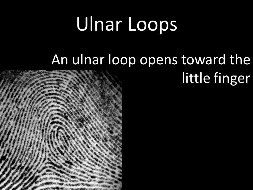 FINGERPRINTING. - ppt video online download