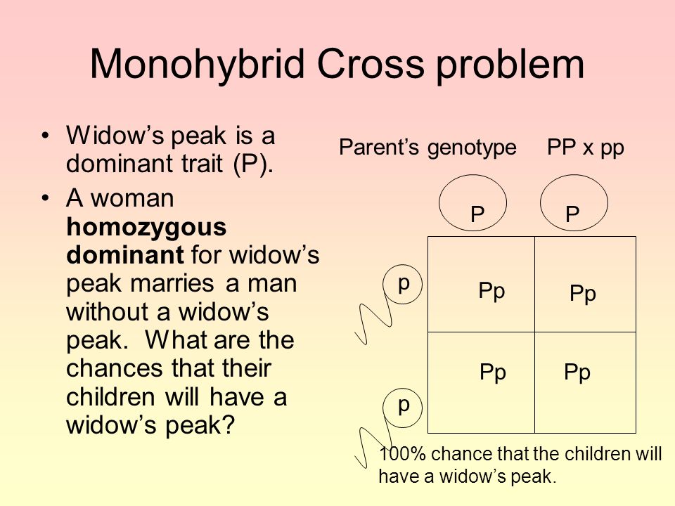 Monohybrid Cross problem