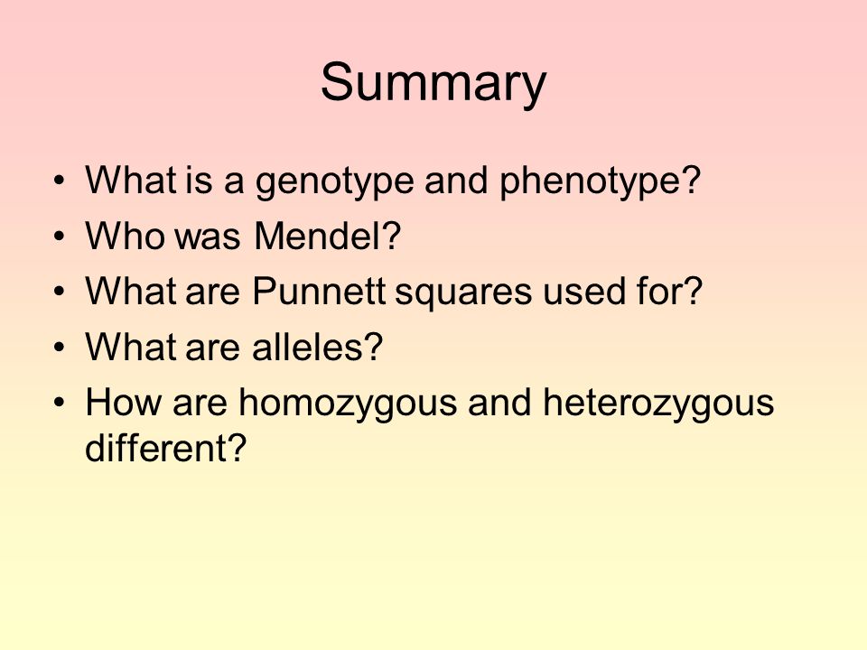 Summary What is a genotype and phenotype Who was Mendel