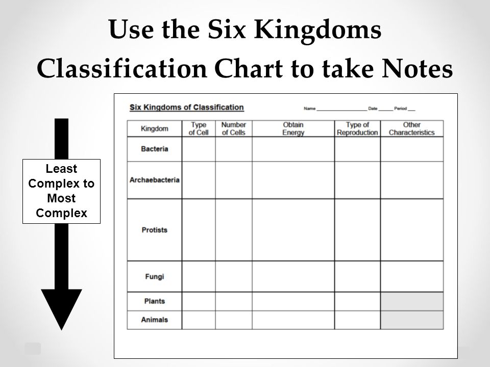 Six Kingdom Classification Chart