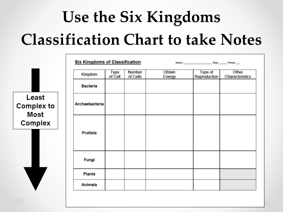 Six Kingdom Classification Chart