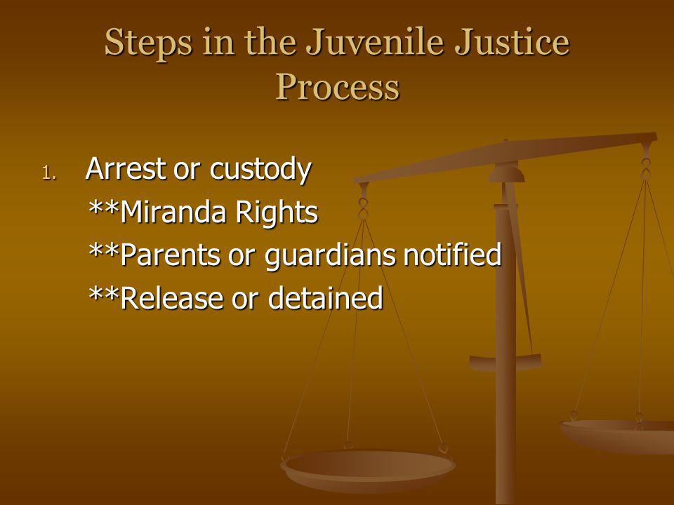 Steps in the Juvenile Justice Process
