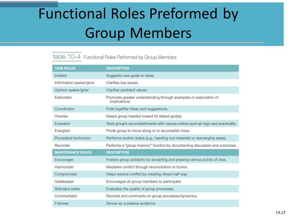 Functional Roles Preformed by Group Members