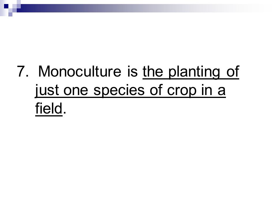 7. Monoculture is the planting of just one species of crop in a field.