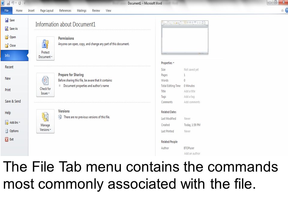 The File Tab menu contains the commands most commonly associated with the file.
