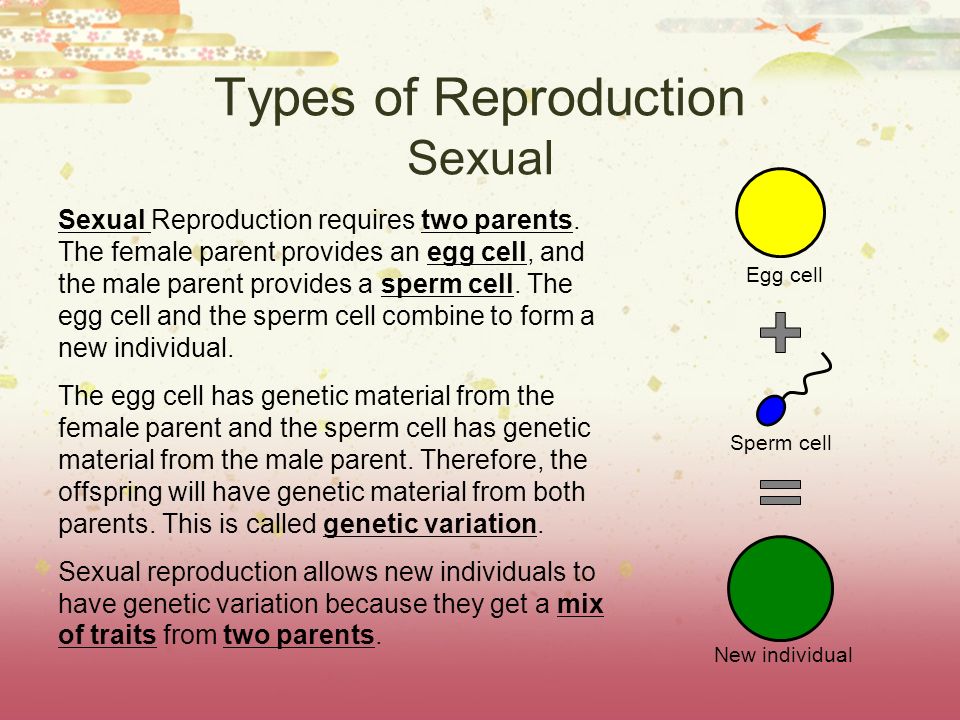 Asexual Reproduction And Its Types