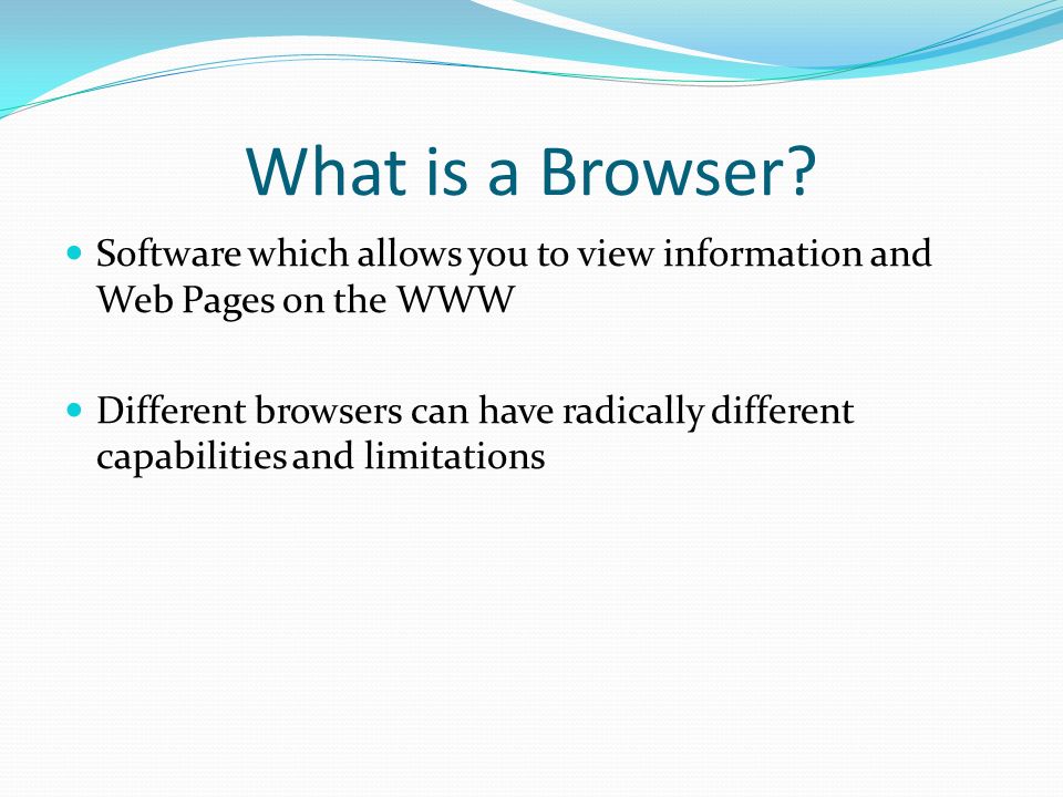 What is a Browser Software which allows you to view information and Web Pages on the WWW.
