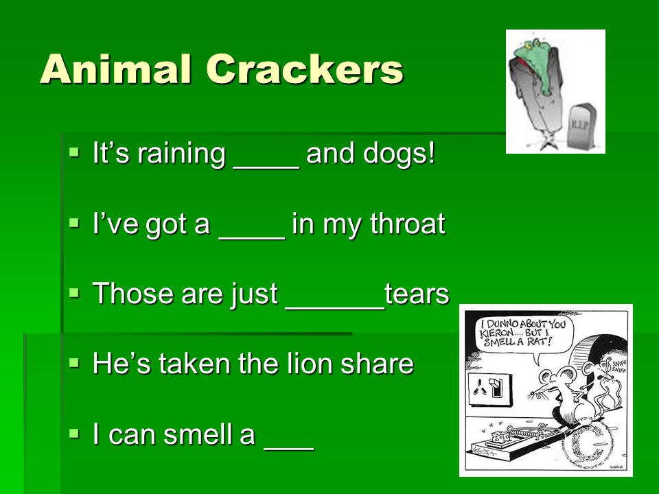 Animal Crackers It’s raining ____ and dogs!