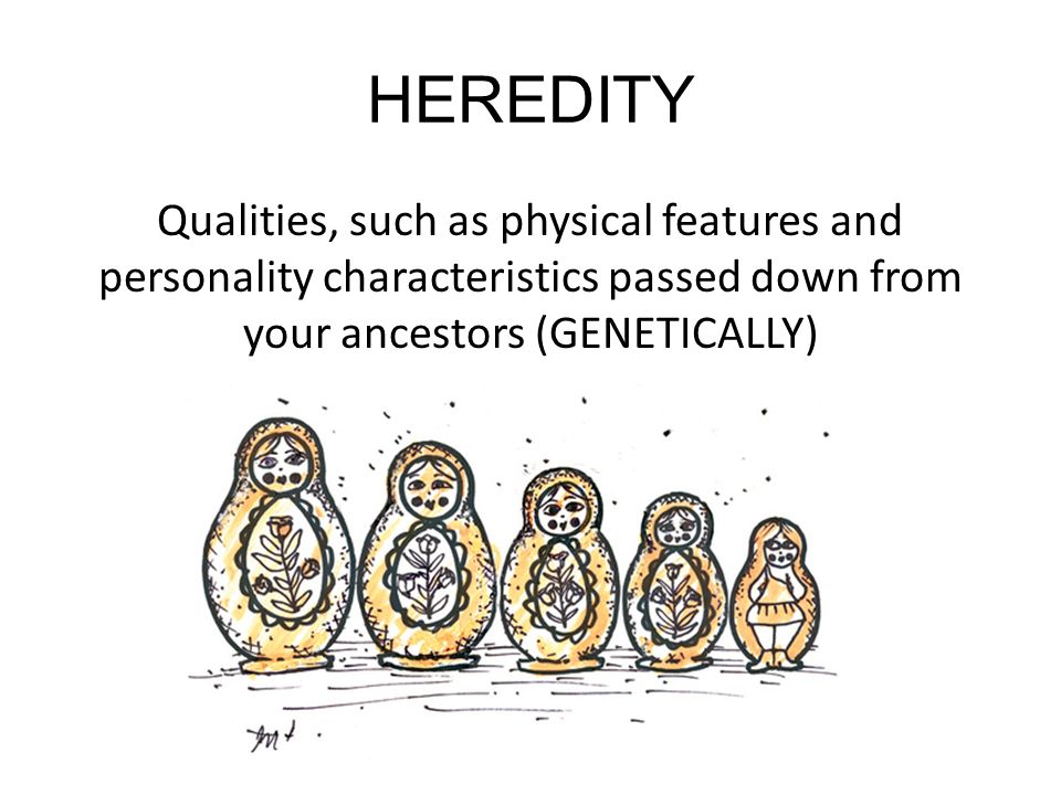 HEREDITY Qualities, such as physical features and personality characteristics passed down from your ancestors (GENETICALLY)
