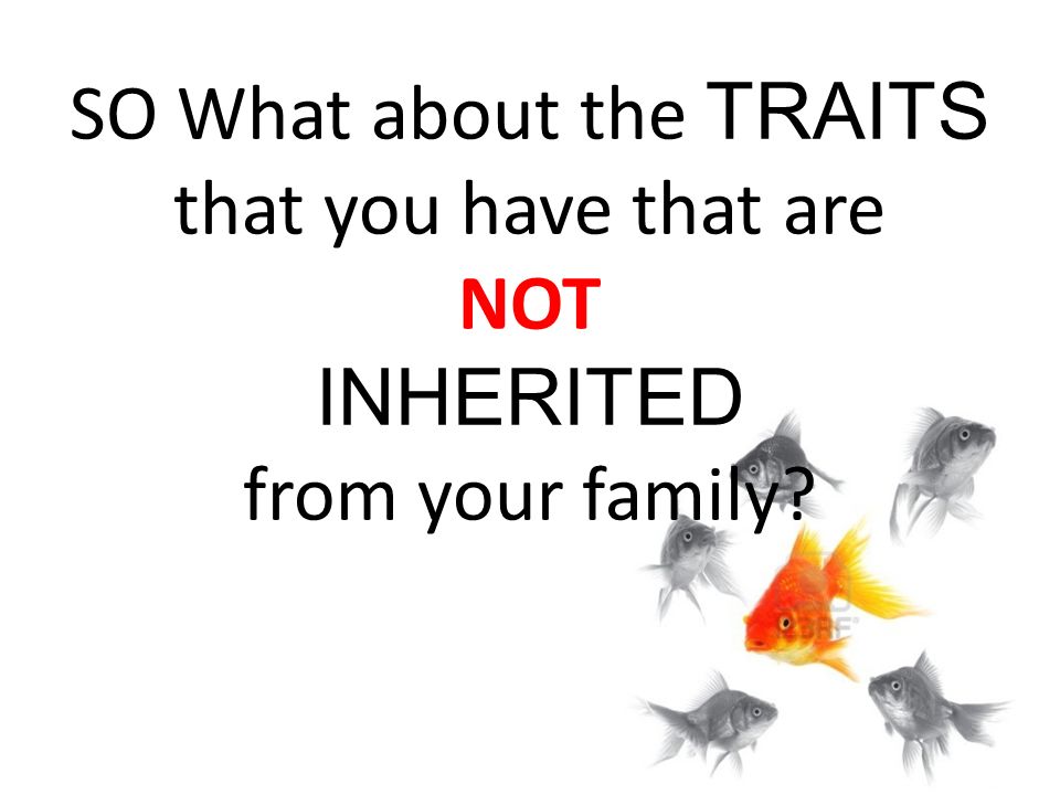 SO What about the TRAITS that you have that are NOT INHERITED from your family