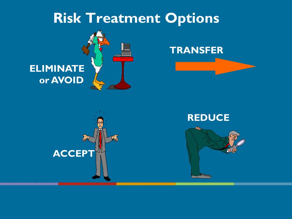 Risk Treatment Options