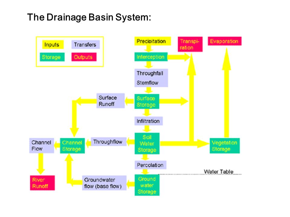 The Drainage Basin System: