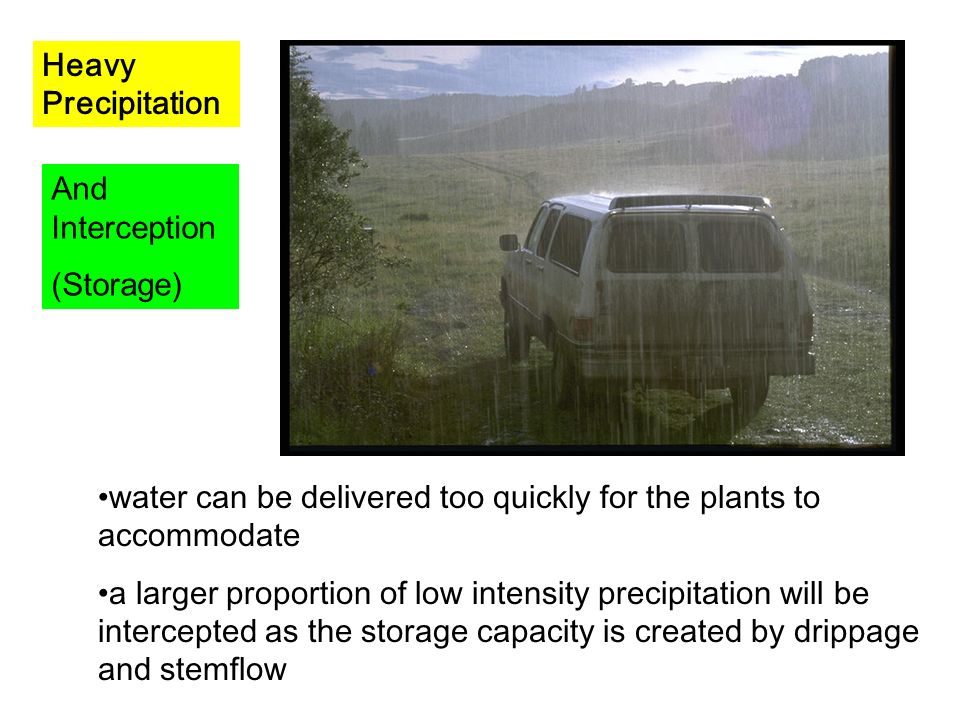 Heavy Precipitation And Interception. (Storage) water can be delivered too quickly for the plants to accommodate.