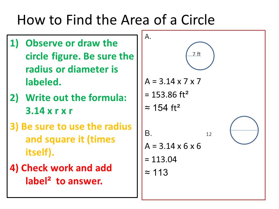 How to Find the Area of a Circle