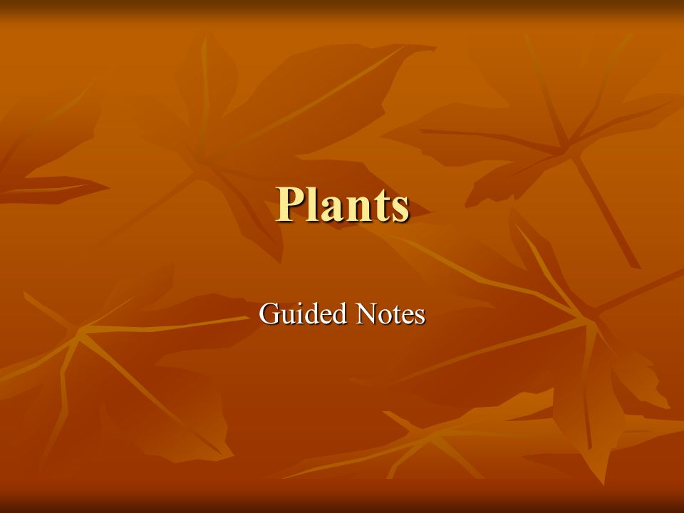 Plants Guided Notes