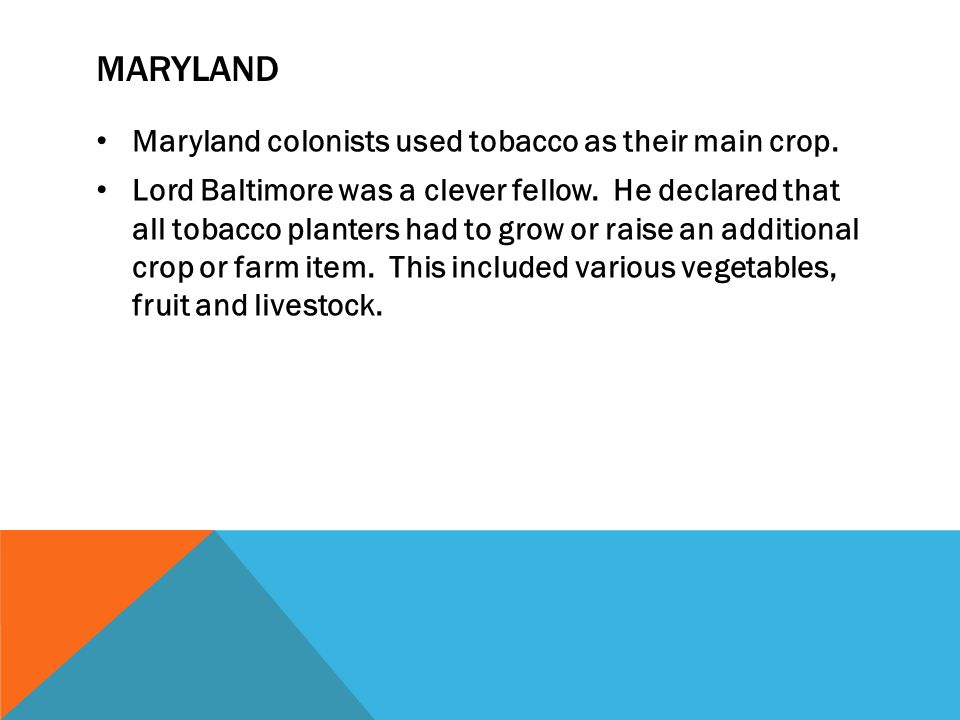Maryland Maryland colonists used tobacco as their main crop.
