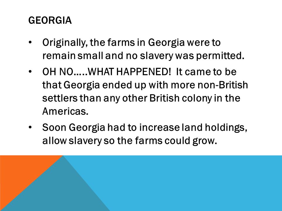 Georgia Originally, the farms in Georgia were to remain small and no slavery was permitted.