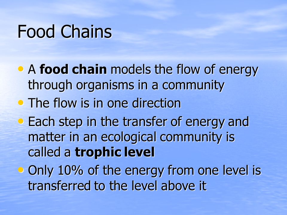 Food Chains A food chain models the flow of energy through organisms in a community. The flow is in one direction.