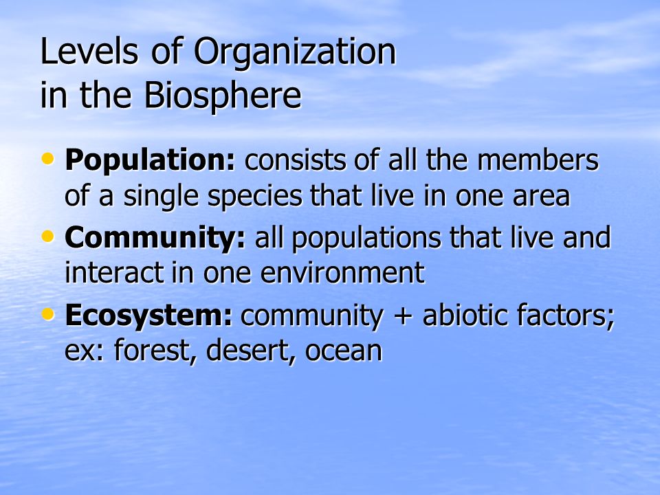 Levels of Organization in the Biosphere