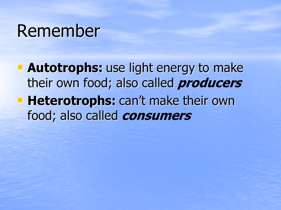 Remember Autotrophs: use light energy to make their own food; also called producers.