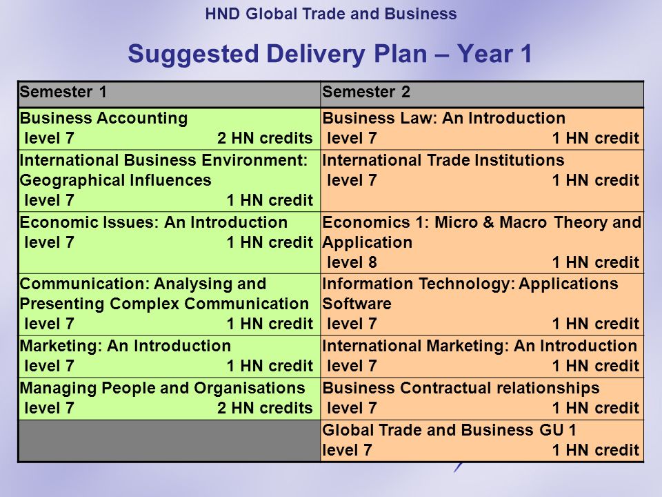 Suggested Delivery Plan – Year 1
